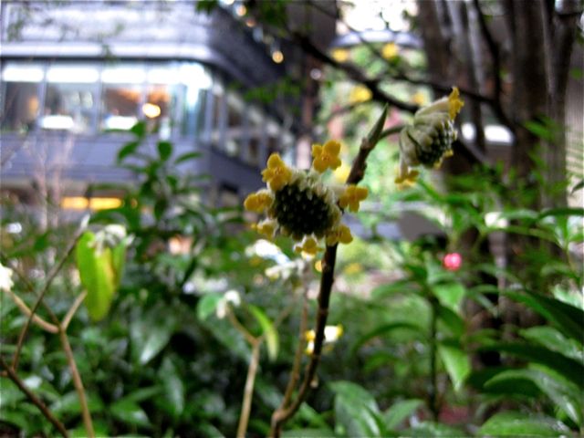 a0154962_2232066.jpg