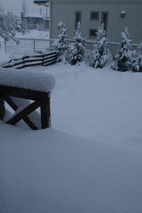 f0046262_22253516.jpg