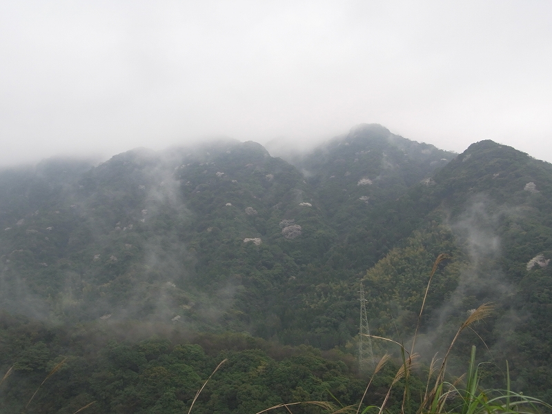 c0142963_418479.jpg