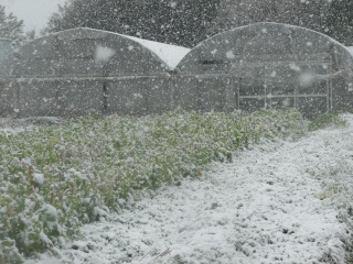 f0055264_20271549.jpg