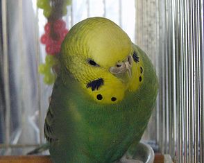 f0196665_0141899.jpg