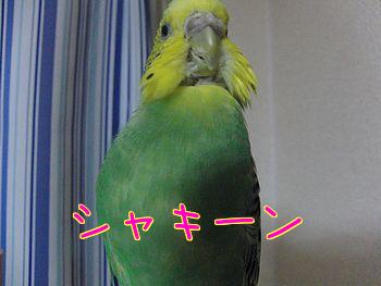 f0196665_0235950.jpg