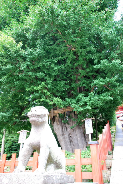 b0174068_23592681.jpg