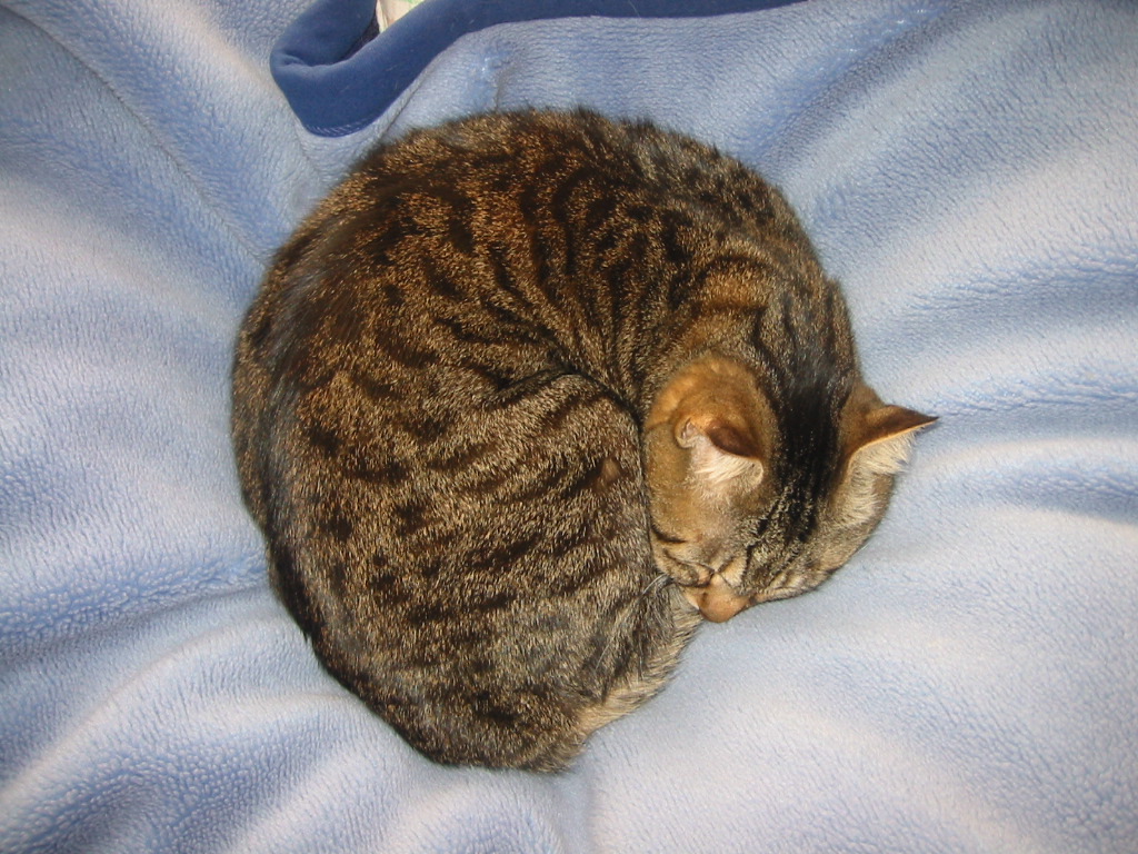 e0031572_1724138.jpg