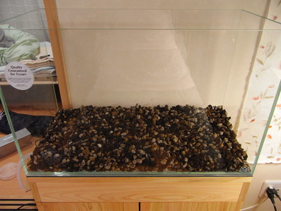f0218472_1524896.jpg