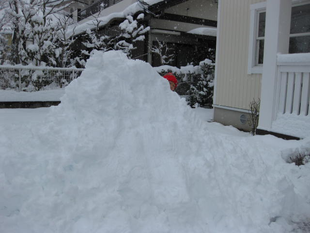 c0226387_14384094.jpg