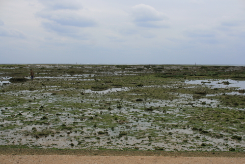 f0093592_1293677.jpg