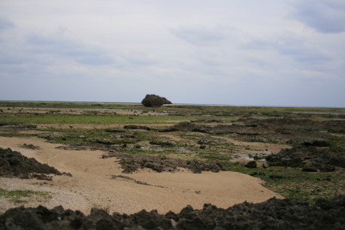 f0093592_1295033.jpg