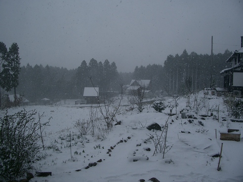 f0209394_1731924.jpg