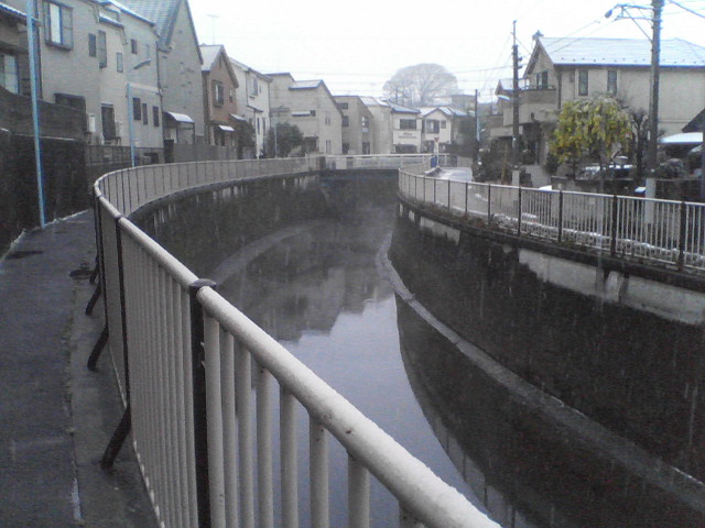 b0167999_229770.jpg
