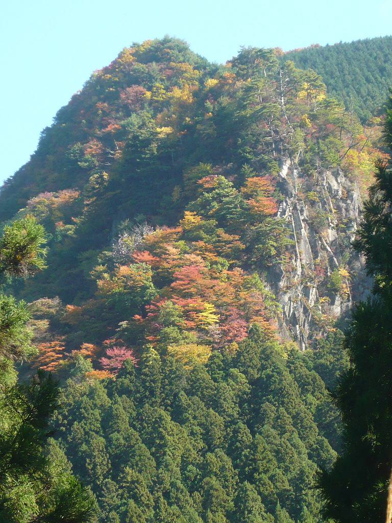 c0072801_1854244.jpg