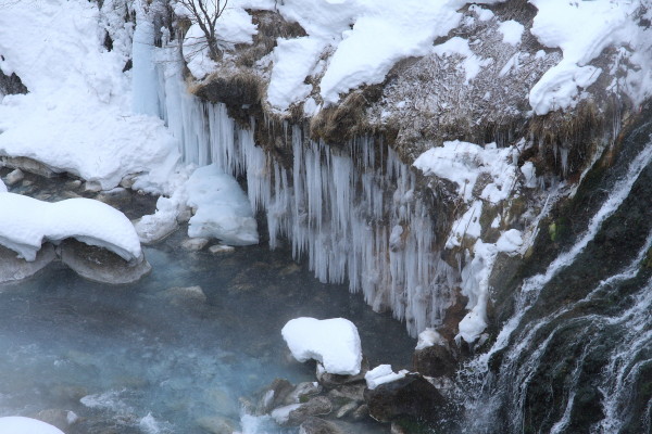 c0183002_2219610.jpg