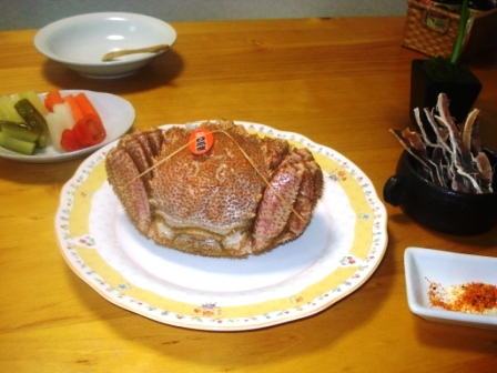 e0133203_638985.jpg