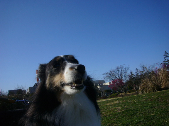 e0130008_2042827.jpg