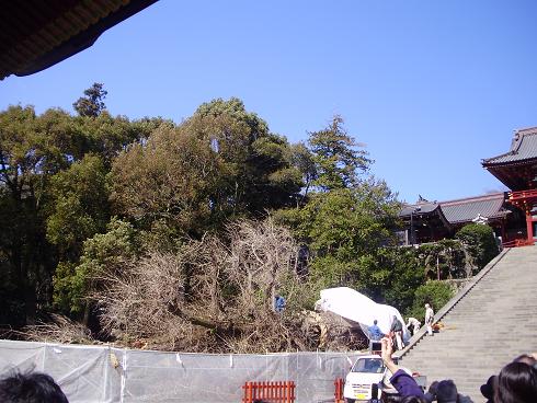 f0008510_22562517.jpg
