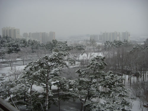 f0187112_2153660.jpg