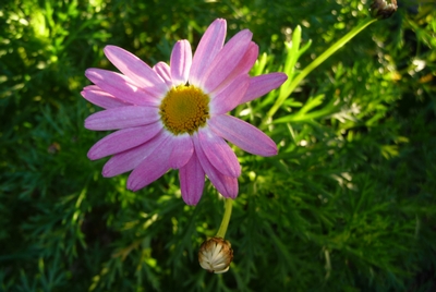 d0150013_20594044.jpg