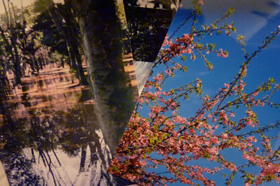 f0056516_0101515.jpg