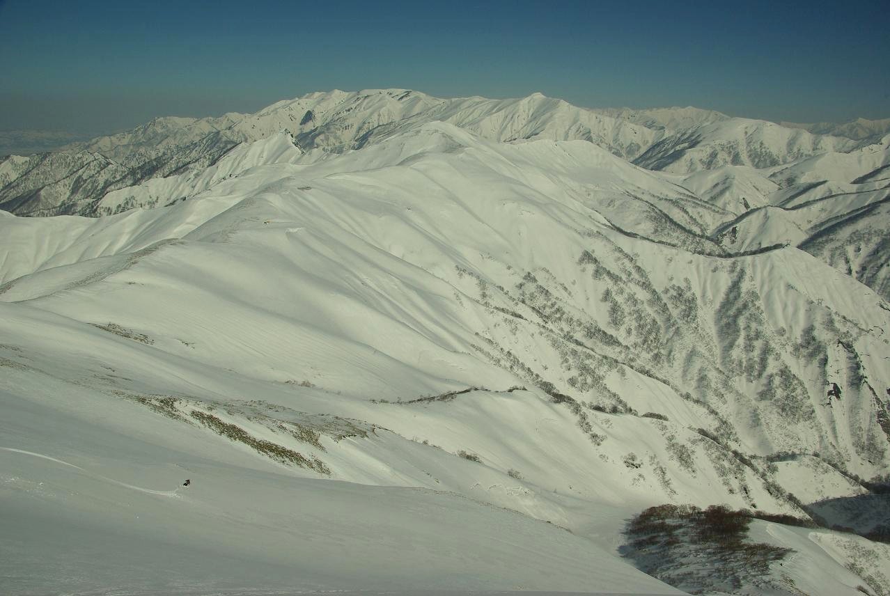 b0062024_8212640.jpg