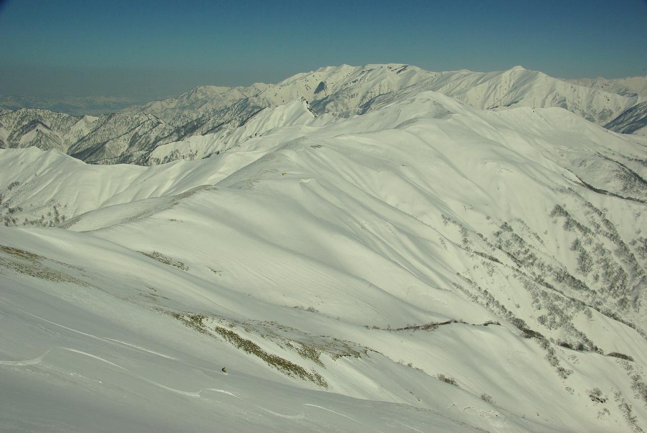 b0062024_823665.jpg