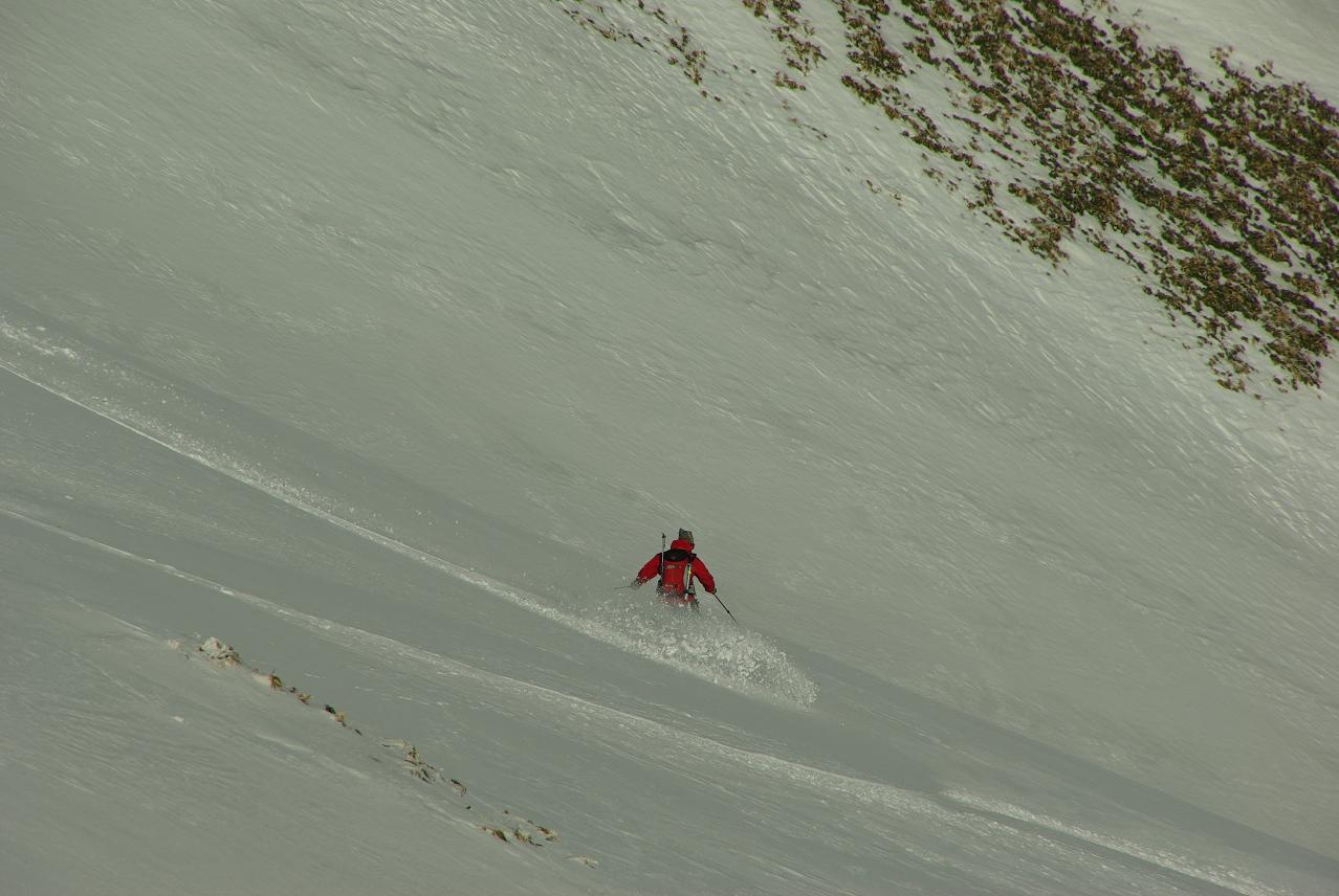 b0062024_824117.jpg