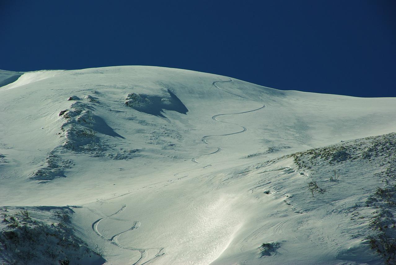 b0062024_8291234.jpg
