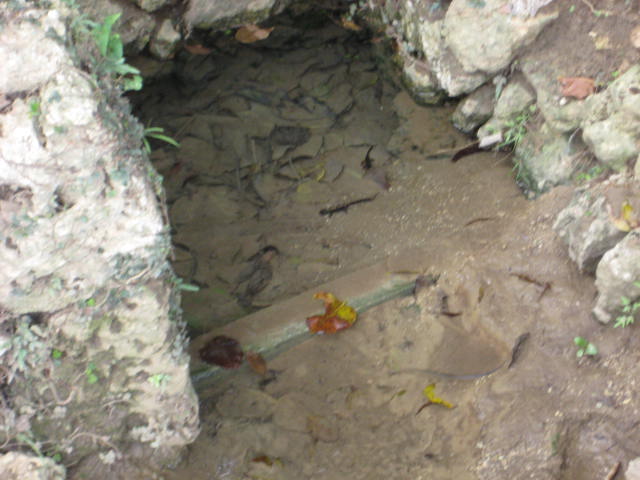 e0166032_2113053.jpg