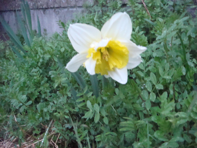 b0097645_216030.jpg