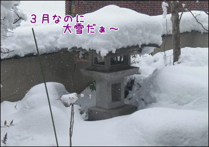 d0139352_0205647.jpg
