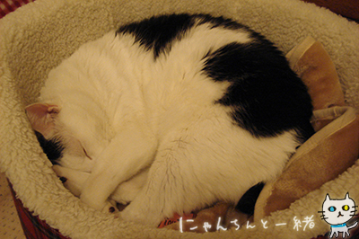 e0031853_033762.jpg