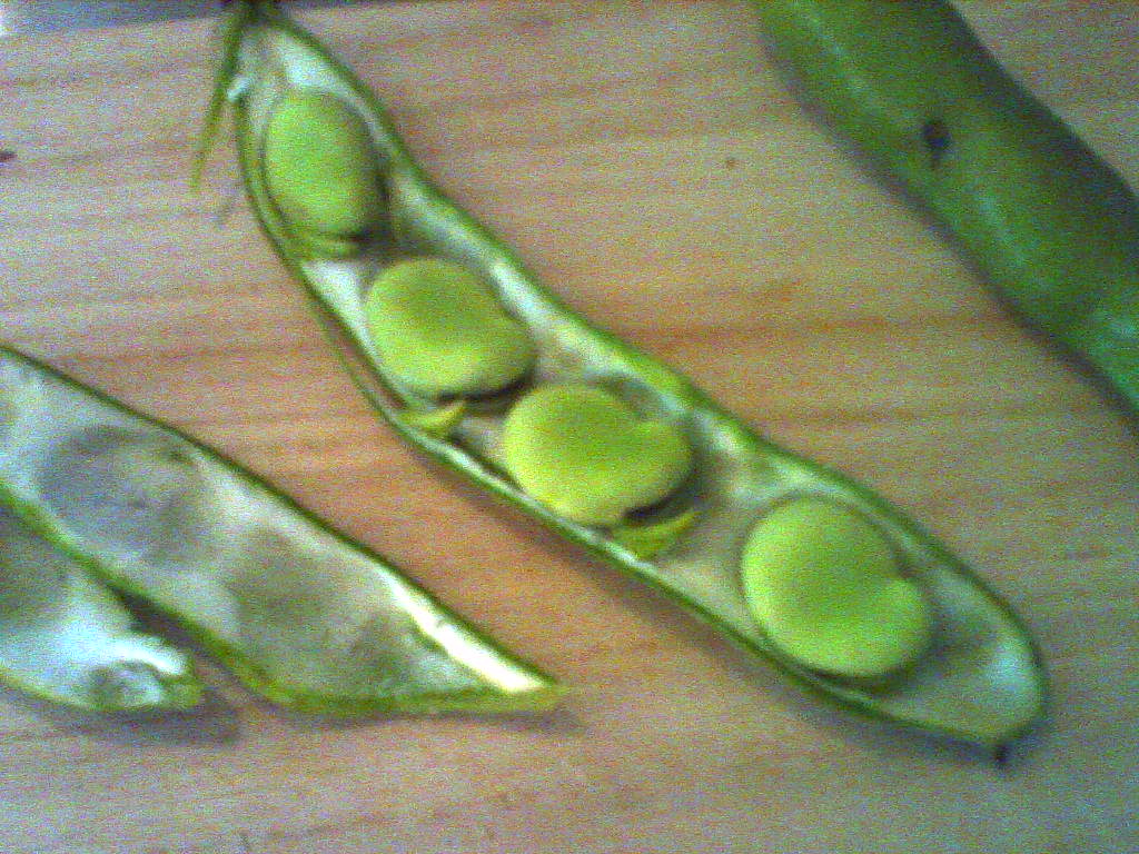 a0159055_21113487.jpg