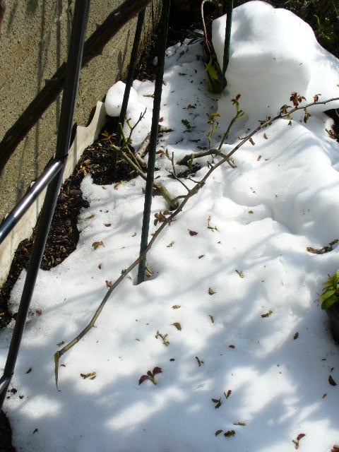 f0074659_23202930.jpg