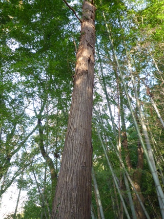b0093660_2337077.jpg