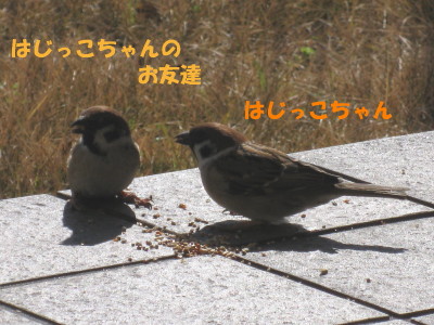 b0158061_21572720.jpg