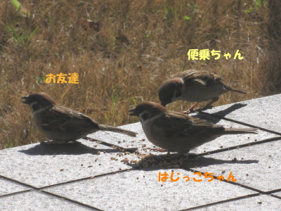 b0158061_2157498.jpg