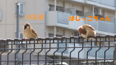 b0158061_21581077.jpg