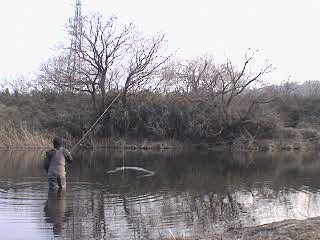 f0084561_15274158.gif