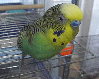 f0196665_23594665.jpg