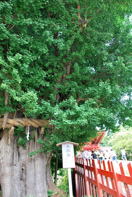 b0174068_004569.jpg