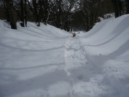 f0203369_2036795.gif