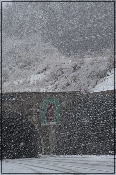 c0167576_7494576.jpg