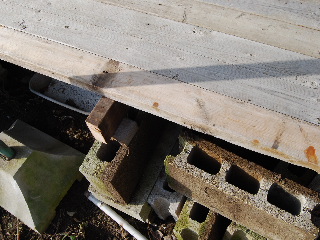 a0158478_1611323.jpg