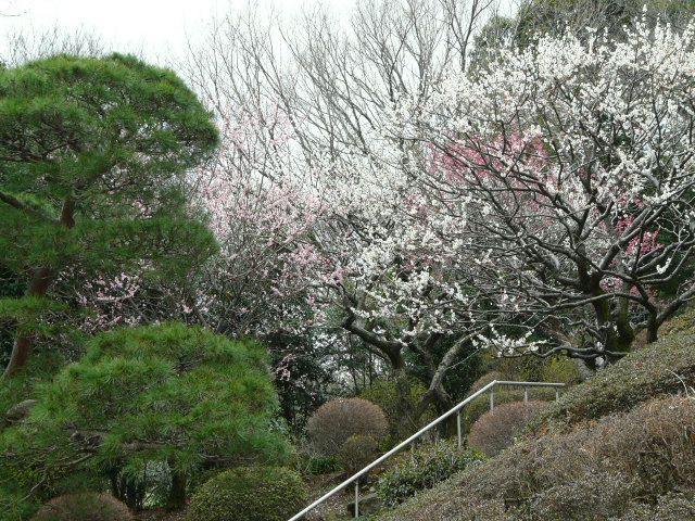 e0145782_182973.jpg