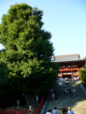 a0163788_20214158.jpg