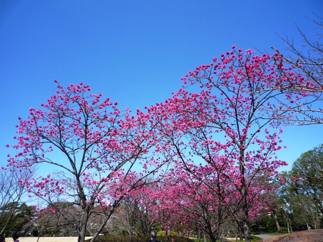 a0127090_20114731.jpg