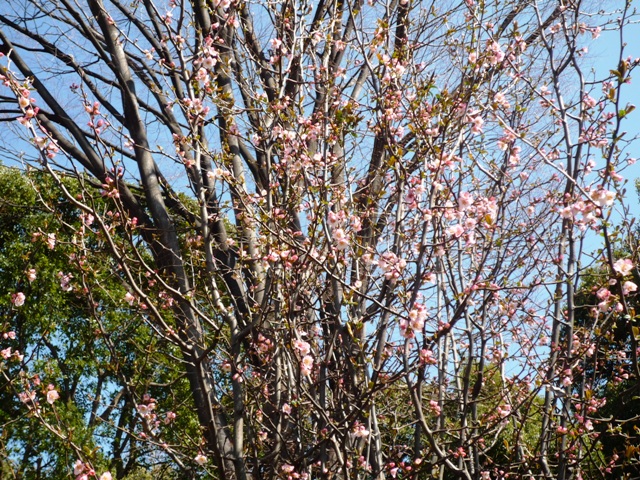 a0127090_20193942.jpg