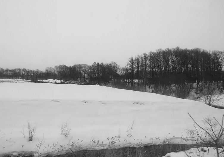 a0140890_1392428.jpg