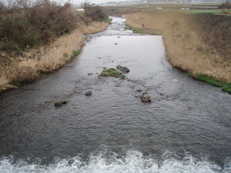 f0132391_12111055.jpg