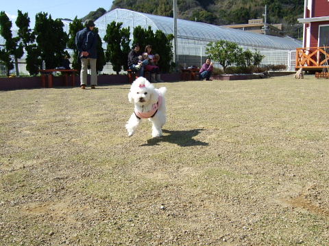 b0104592_21501185.jpg