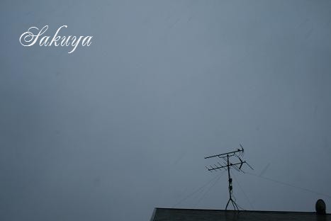 e0122194_85511.jpg